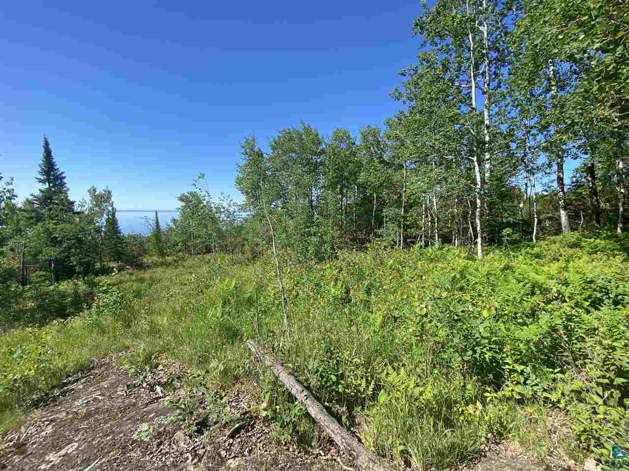 17 Coyote Ridge Grand Marais, MN 55604 - Photo 18 of 25