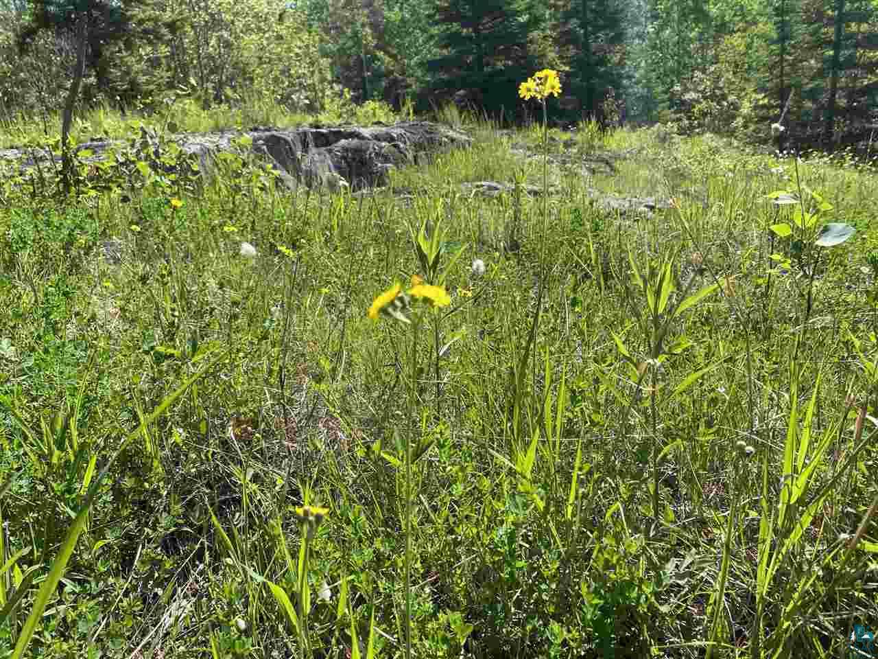 17 Coyote Ridge Grand Marais, MN 55604 - Photo 22 of 25