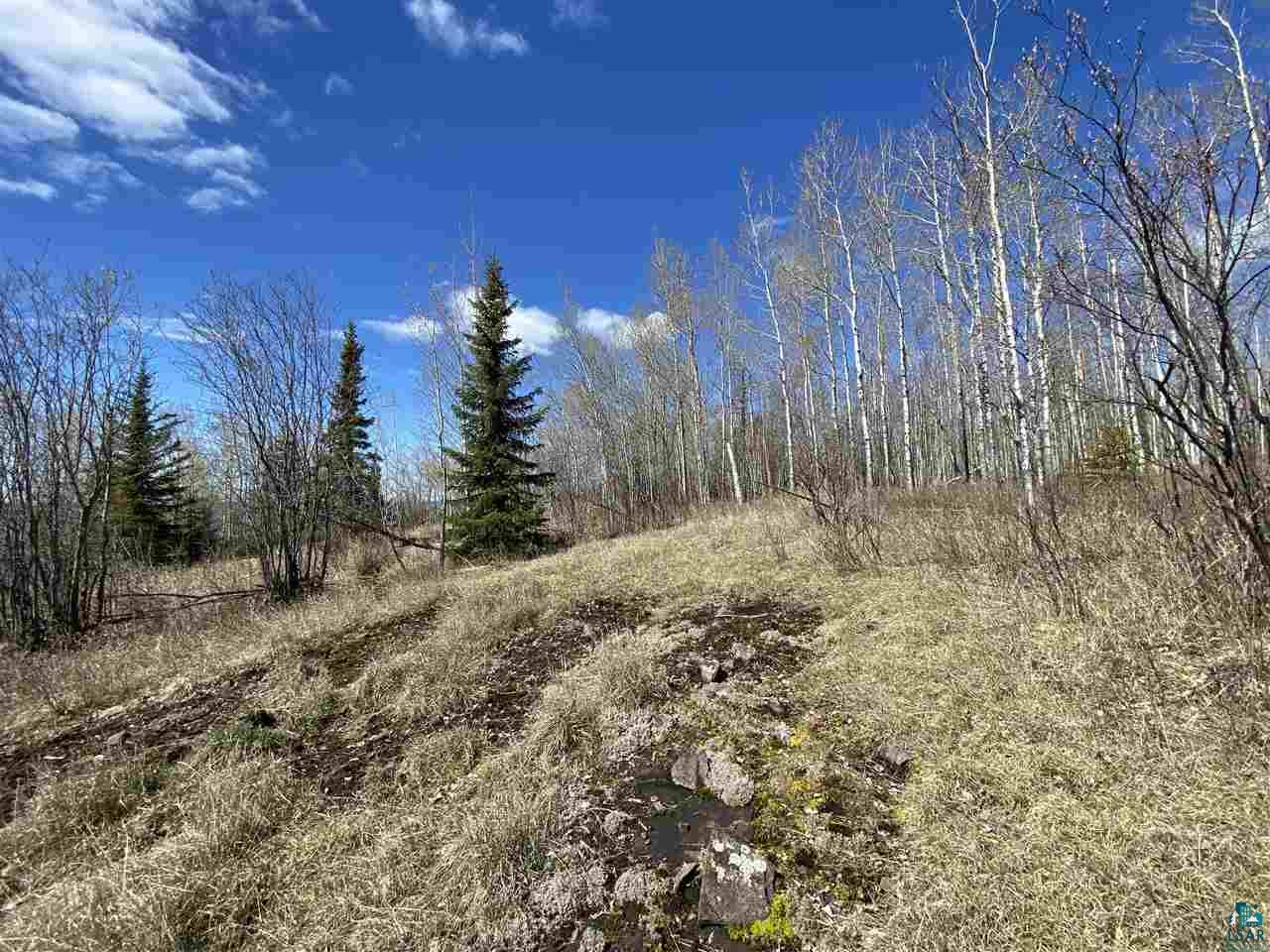17 Coyote Ridge Grand Marais, MN 55604 - Photo 24 of 25