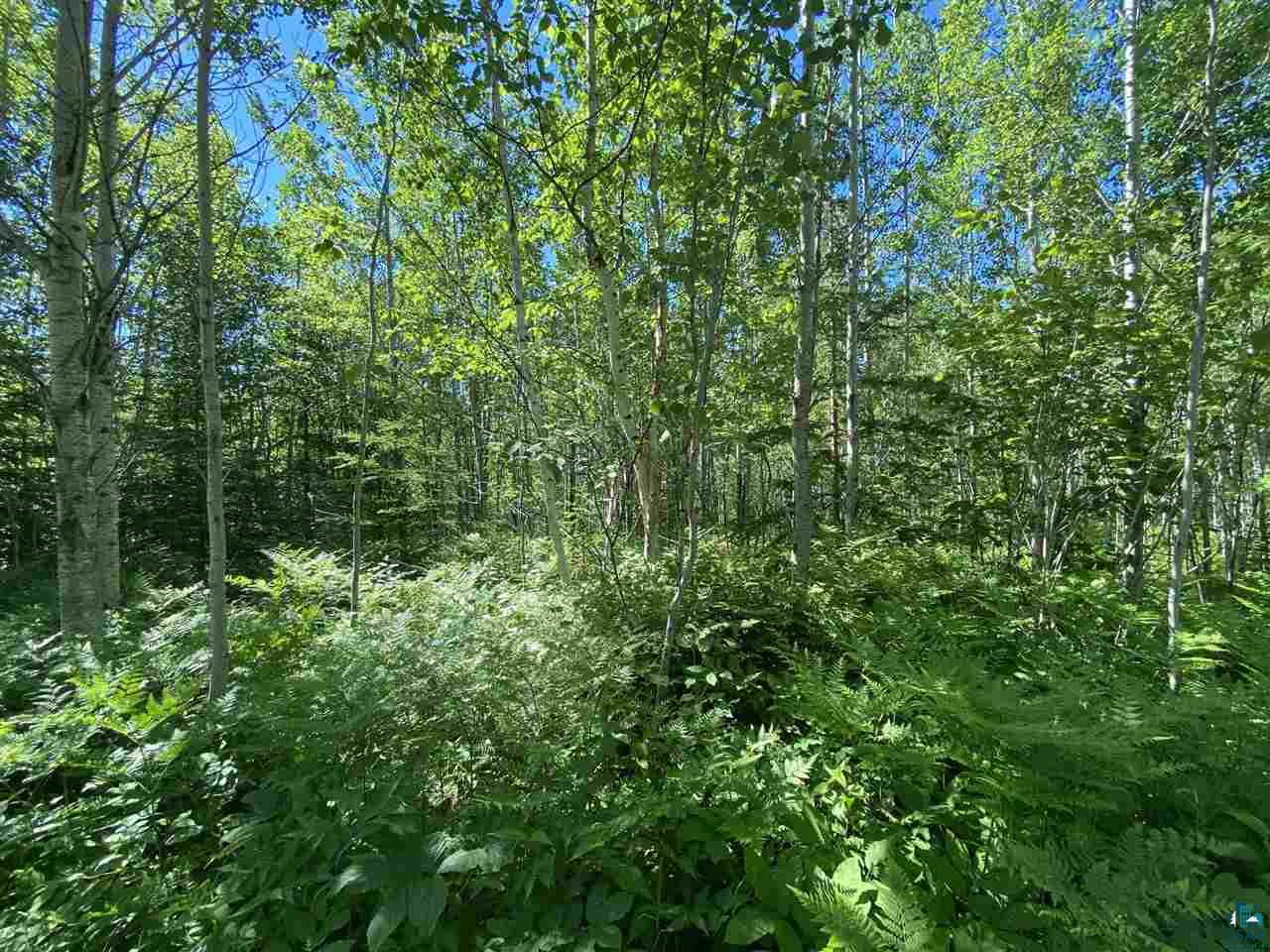 17 Coyote Ridge Grand Marais, MN 55604 - Photo 25 of 25