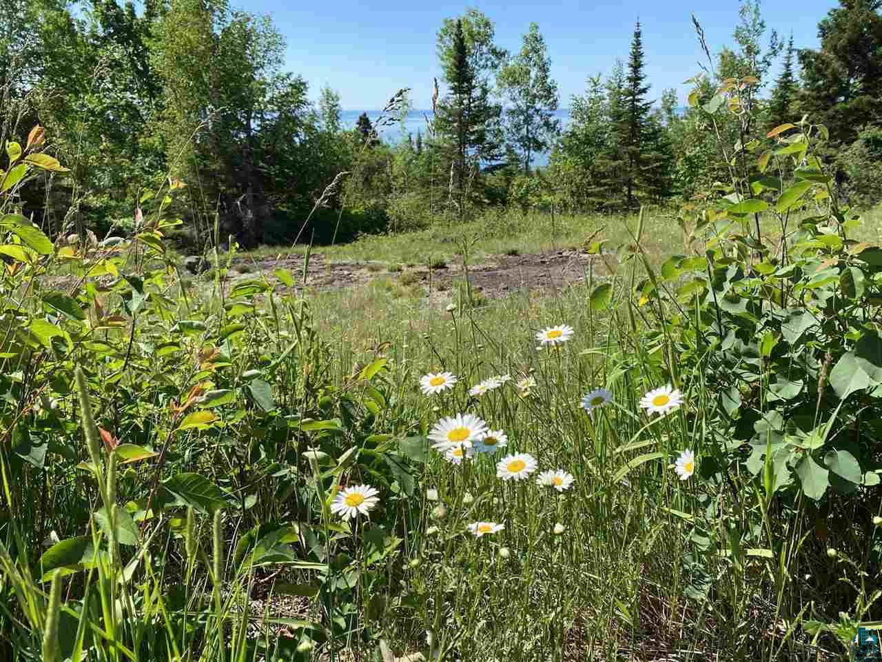 17 Coyote Ridge Grand Marais, MN 55604 - Photo 3 of 25