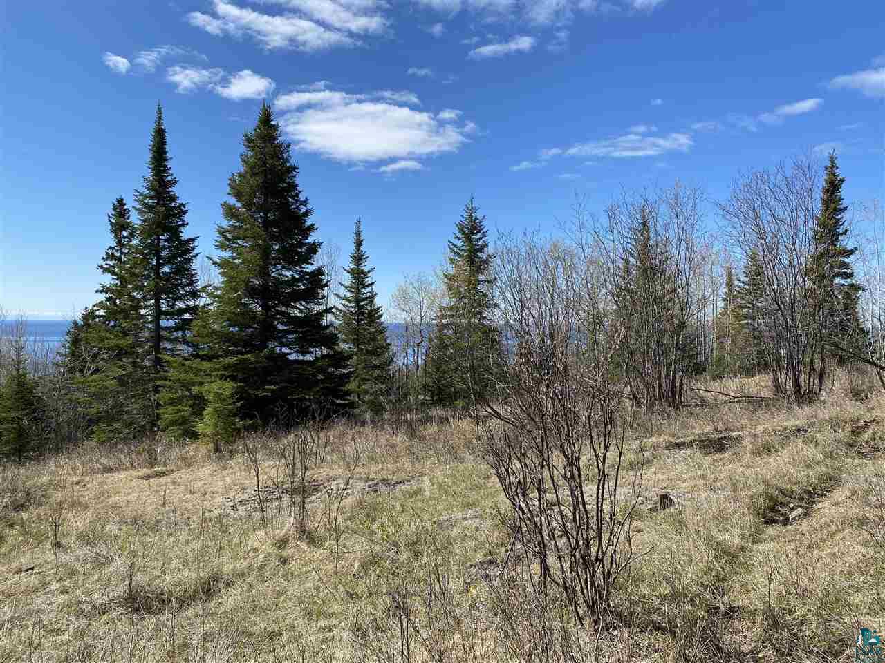 17 Coyote Ridge Grand Marais, MN 55604 - Photo 8 of 25