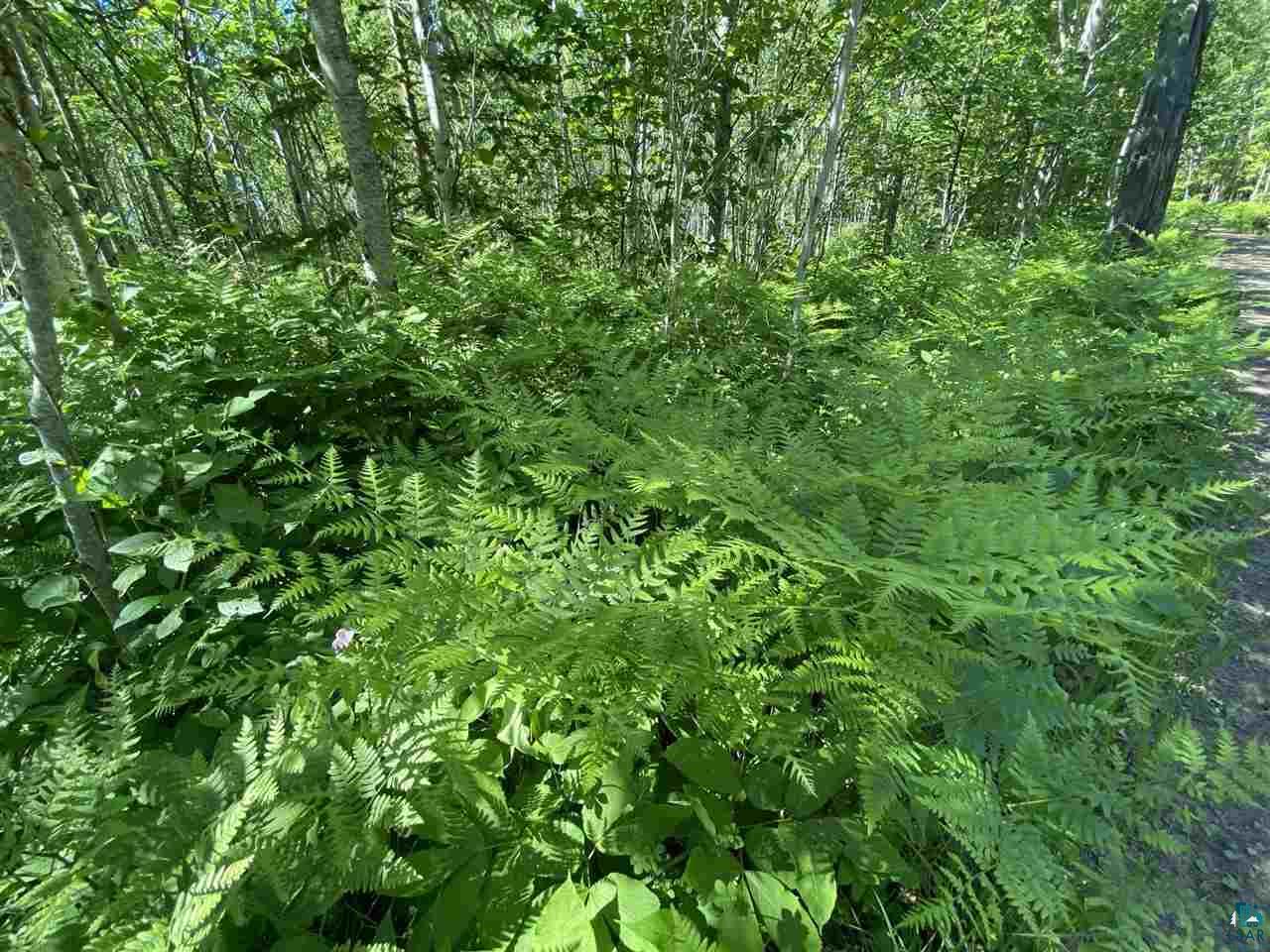 17 Coyote Ridge Grand Marais, MN 55604 - Photo 9 of 25
