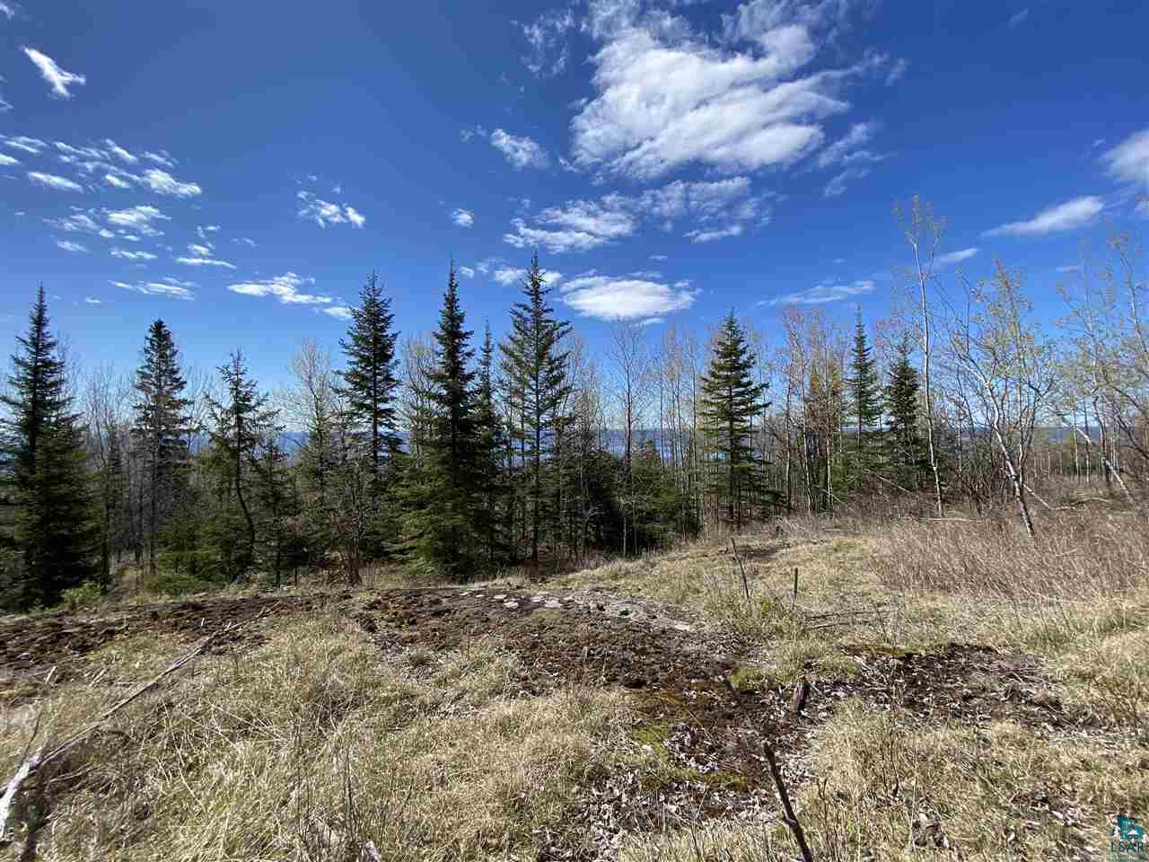 17 Coyote Ridge Grand Marais, MN 55604 - Photo 10 of 25