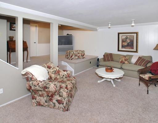 224 Falls Village Road Plum, PA 15239 - Photo 10 of 18 Den/Family/Great Room. Finished, walk out basement with crown molding, full bath, fireplace...Wow.