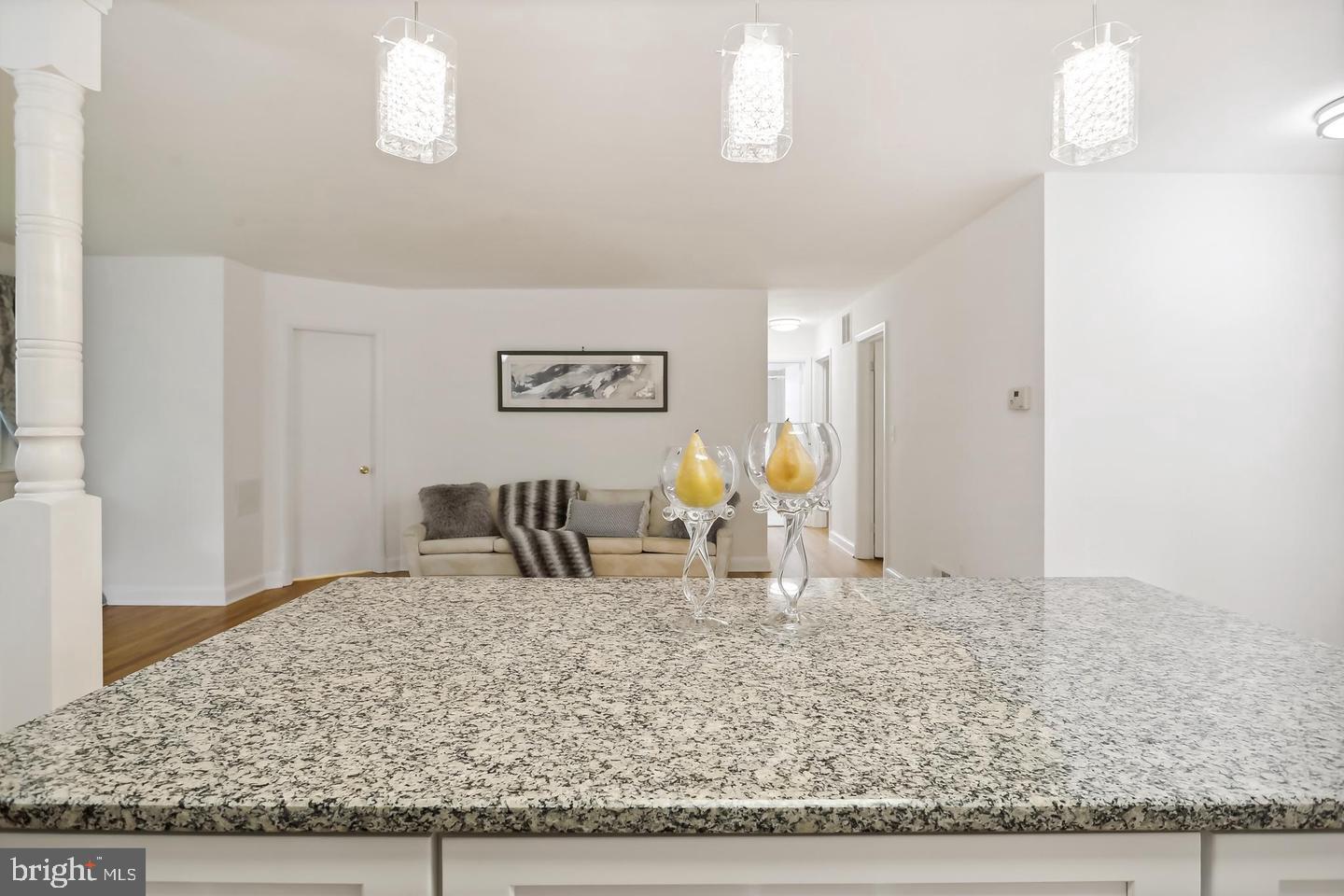 1702 Franwall Avenue Silver Spring, MD 20902 - Photo 5 of 17 a living room with couch