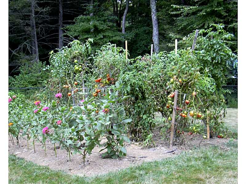 130 Pray Hill Road Glocester, RI 02814 - Photo 4 of 25 Yard/Garden.