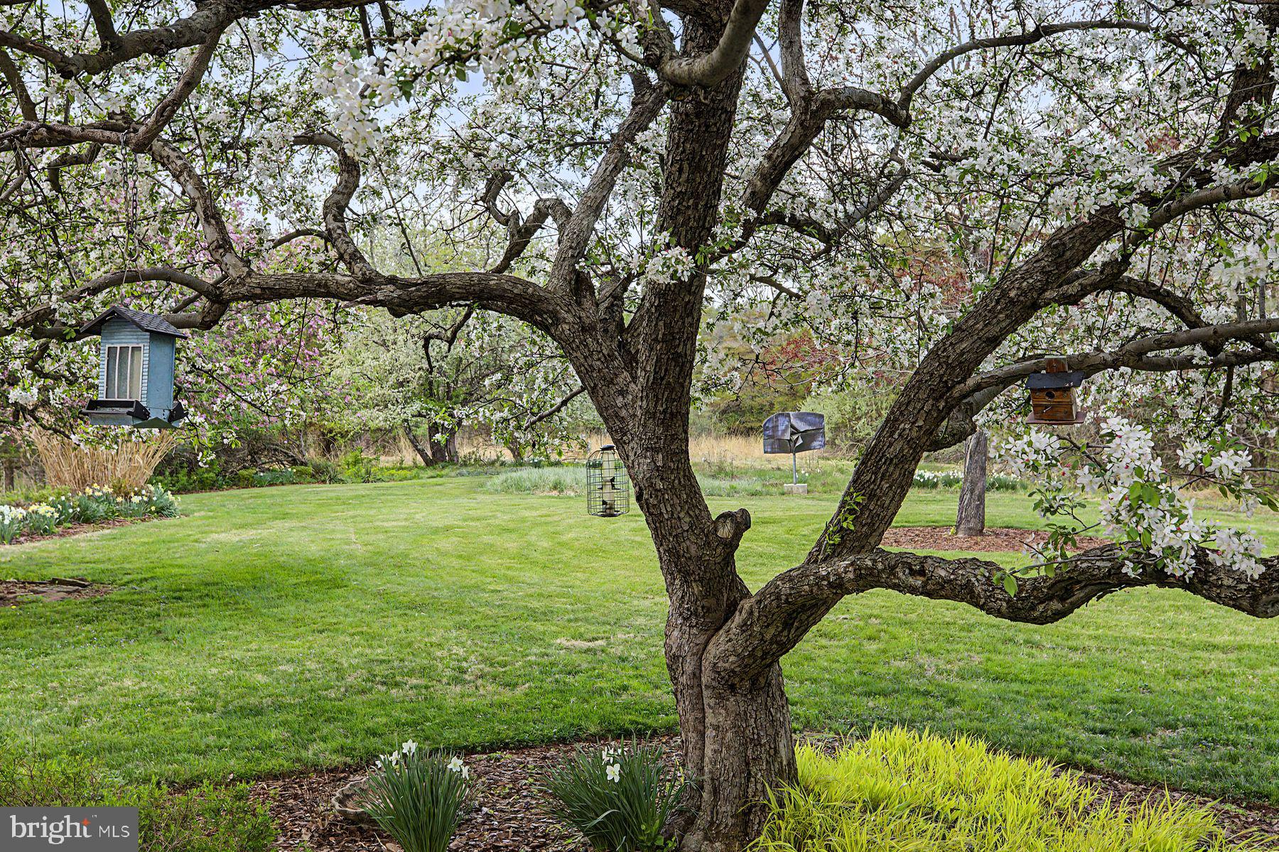 542 Headquarters Road Ottsville, PA 18942 - Photo 64 of 68