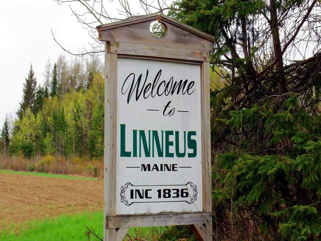 Lot 2 Off Bangor Road Houlton, ME 04730 - Photo 23 of 44 linneus-maine