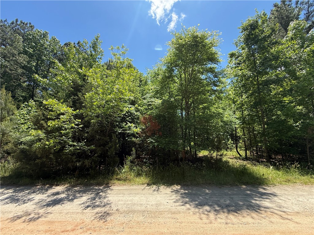 106 Fawn Drive Honea Path, SC 29654 - Photo 4 of 4 This verdant parcel offers a peaceful setting for your future home.