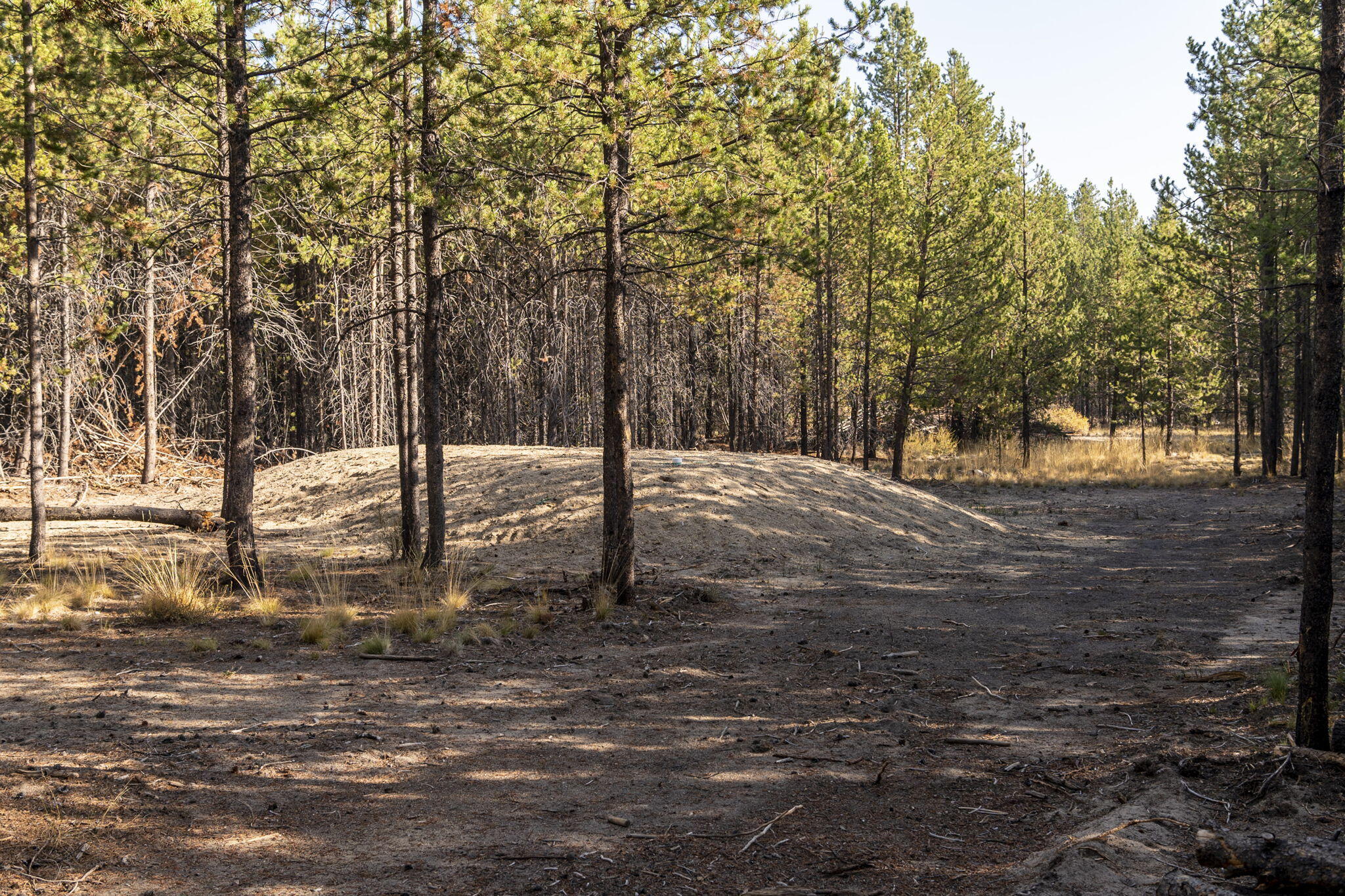 55166 Tamarack Road Bend, OR 97707 - Photo 13 of 30 19-web-or-mls-55166 Tamarack Rd, Bend-19
