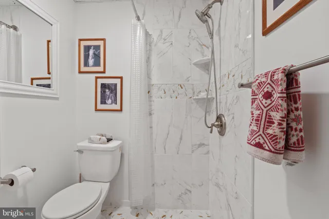 a white toilet sitting next to a bathroom