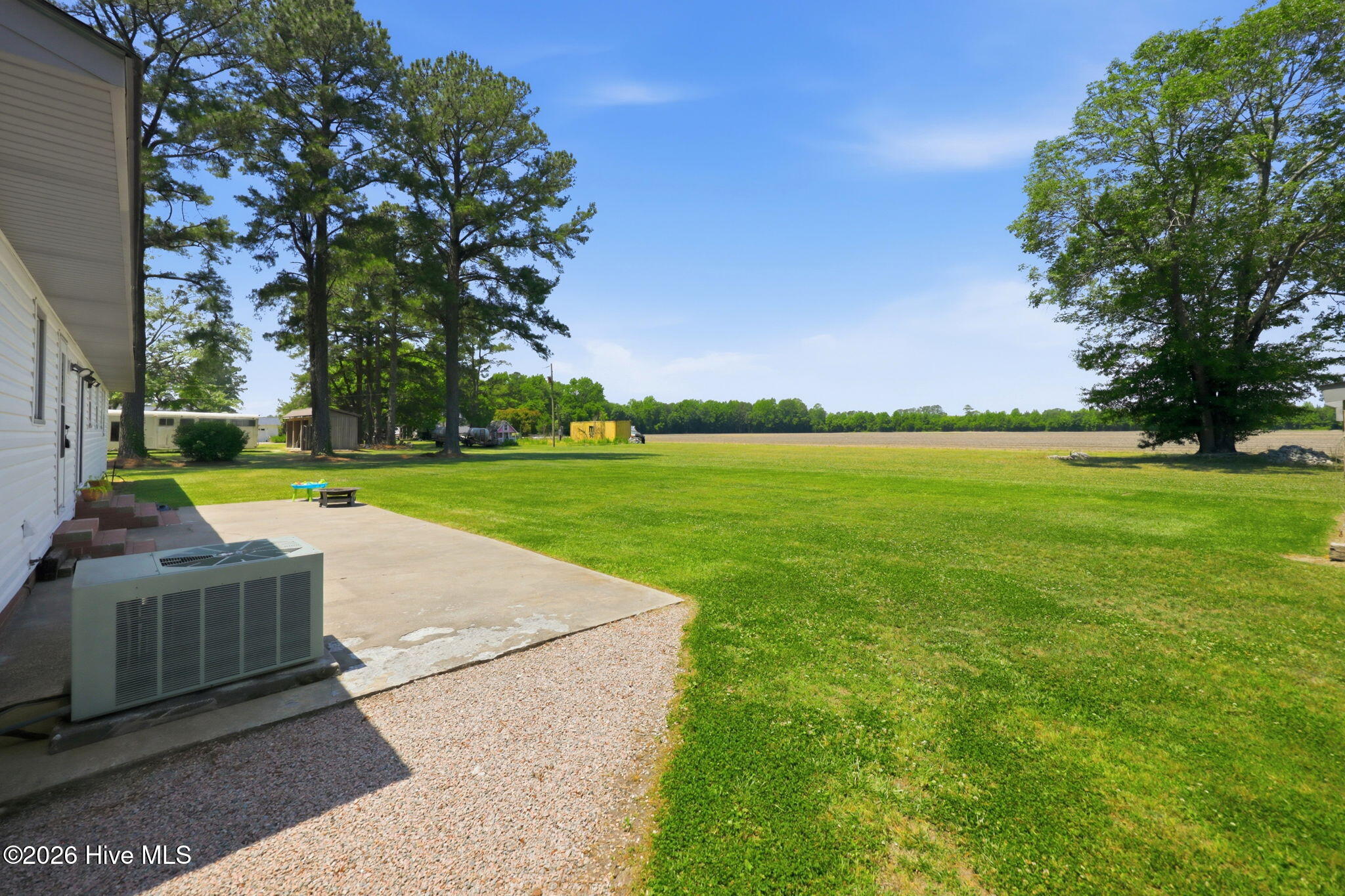 2336 Wharton Station Road Washington, NC 27889 - Photo 40 of 55 040 Backyard View 1