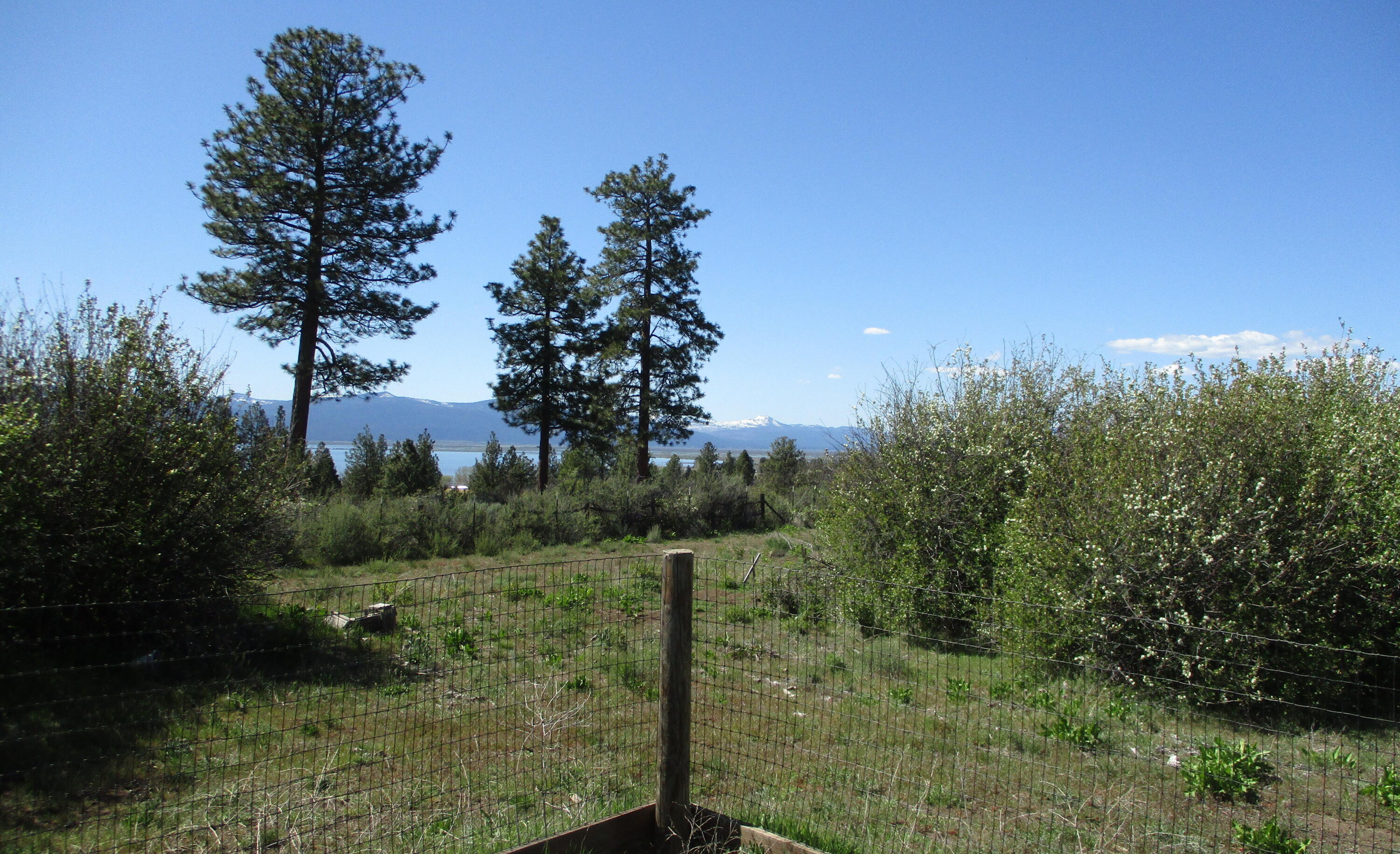 36141 David Street Chiloquin, OR 97624 - Photo 32 of 43 IMG_0935
