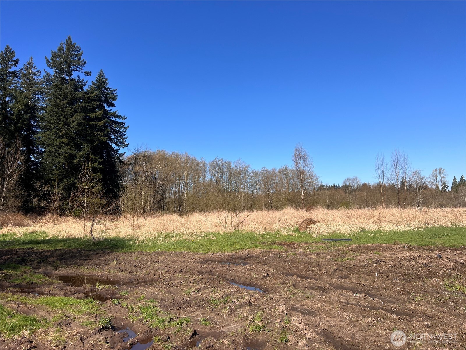 8599 Valley View Road Custer, WA 98240 - Photo 2 of 9