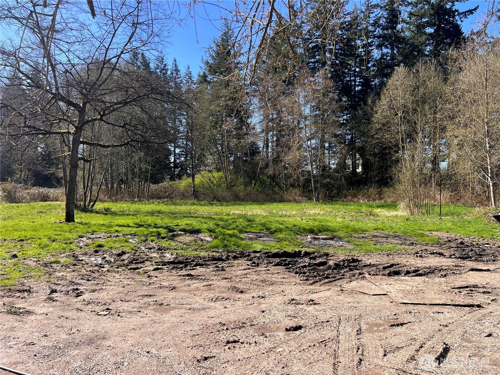 8599 Valley View Road Custer, WA 98240 - Photo 9 of 9