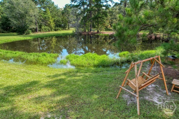 123 Pitts Road Newington, GA 30446 - Photo 53 of 57