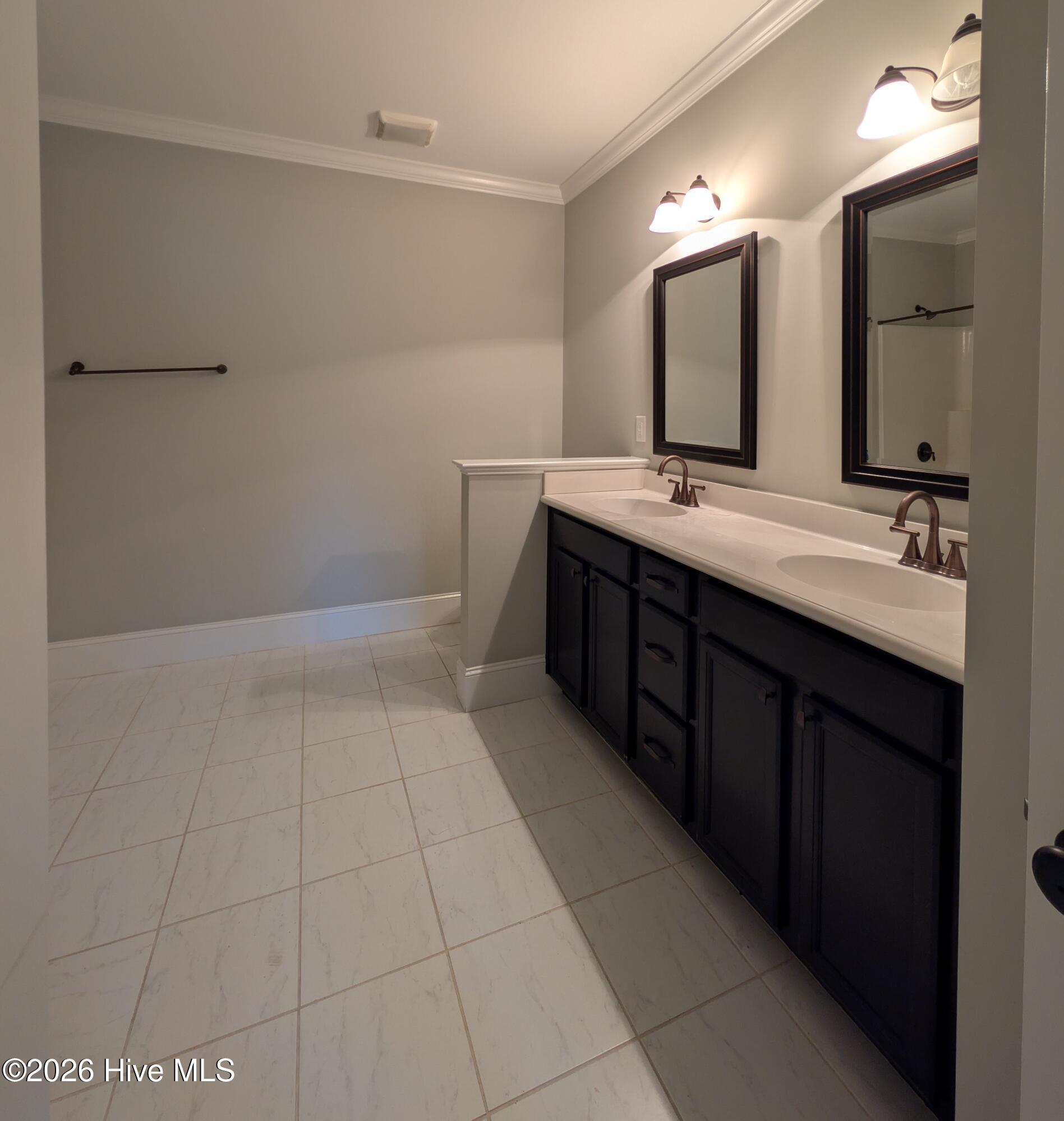 3709 Nantucket Road, Unit A Greenville, NC 27834 - Photo 16 of 20 PBATH1