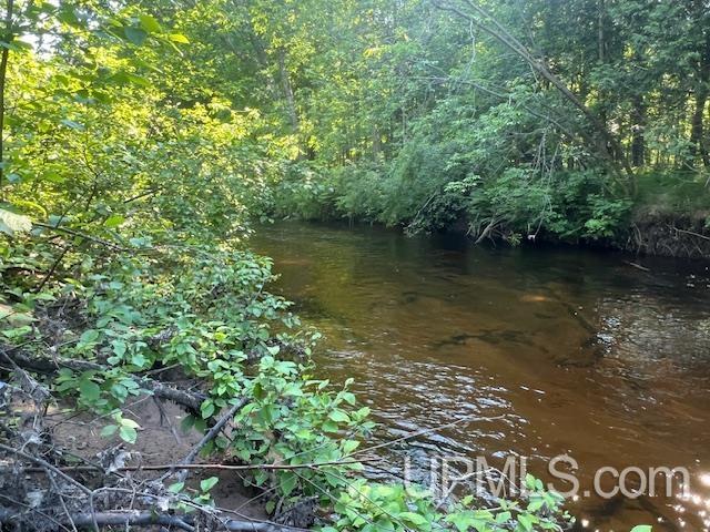 11.6 Acres Off Remington Road Marquette, MI 49855 - Photo 23 of 39