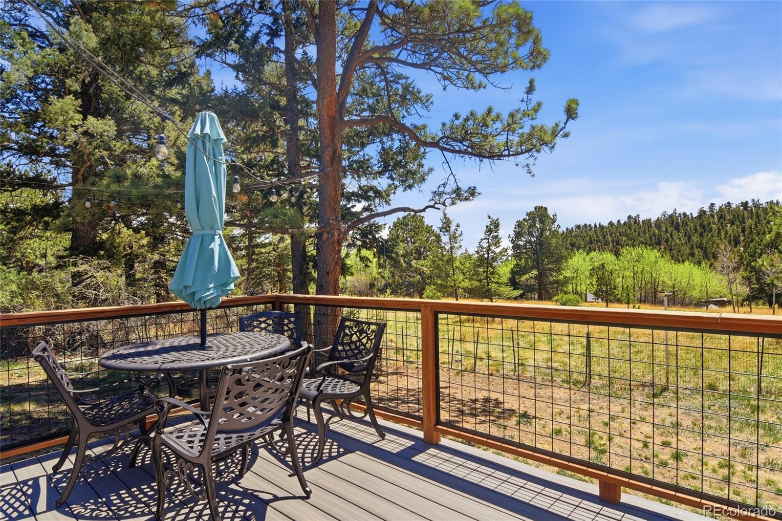 31280 Florence Road Conifer, CO 80433 - Photo 28 of 41