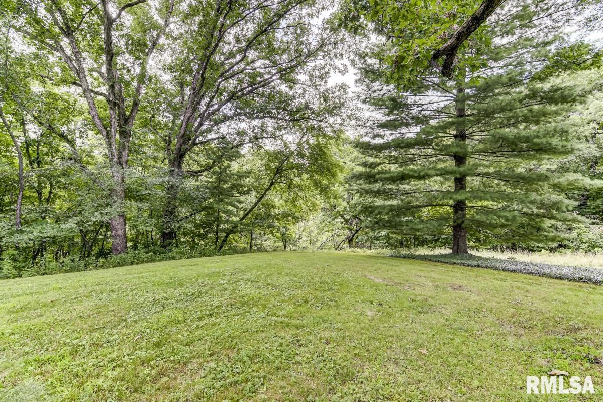 7601 Kunz Road Rochester, IL 62563 - Photo 36 of 54