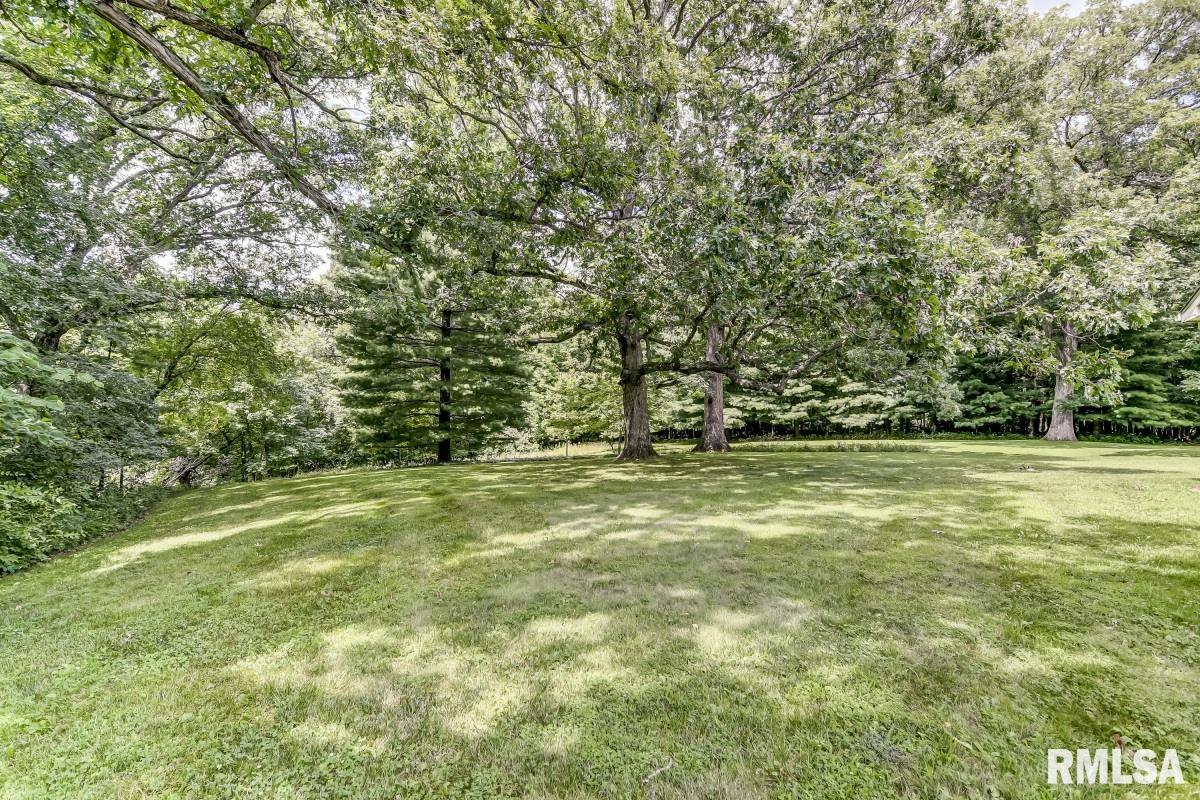 7601 Kunz Road Rochester, IL 62563 - Photo 40 of 54