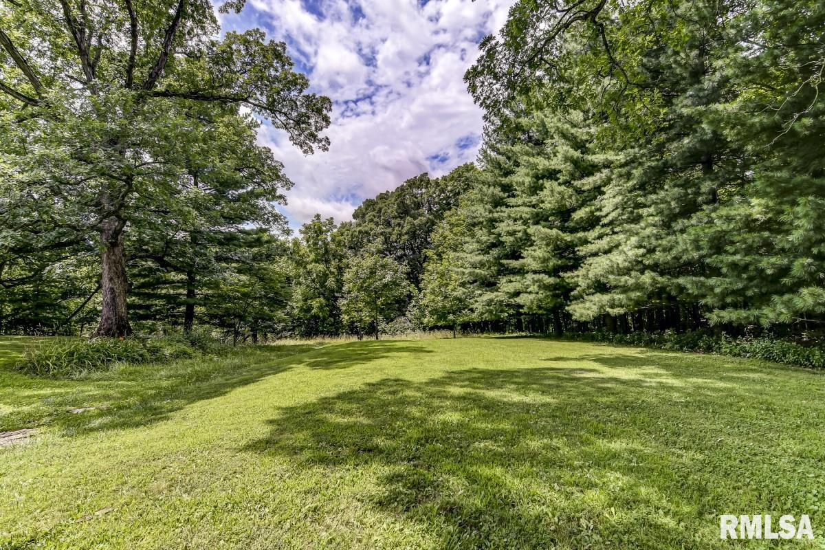 7601 Kunz Road Rochester, IL 62563 - Photo 41 of 54
