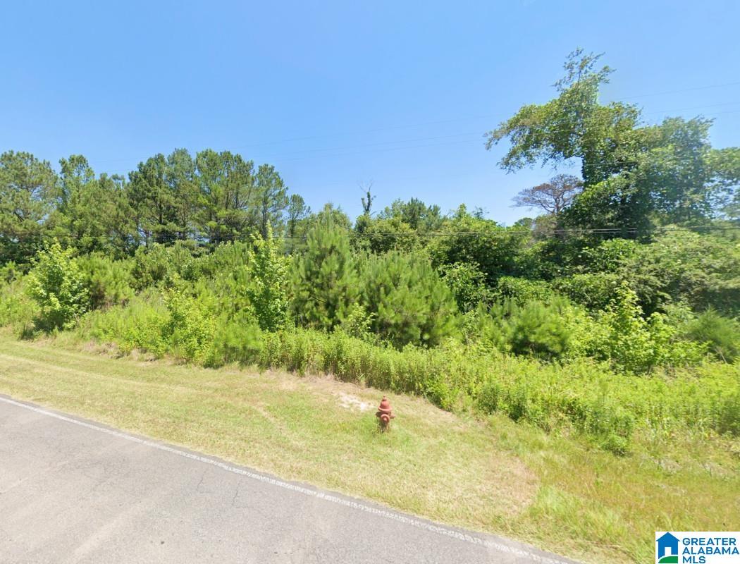 0 Redmill Saragossa Road Nauvoo, AL 35578 - Photo 4 of 13