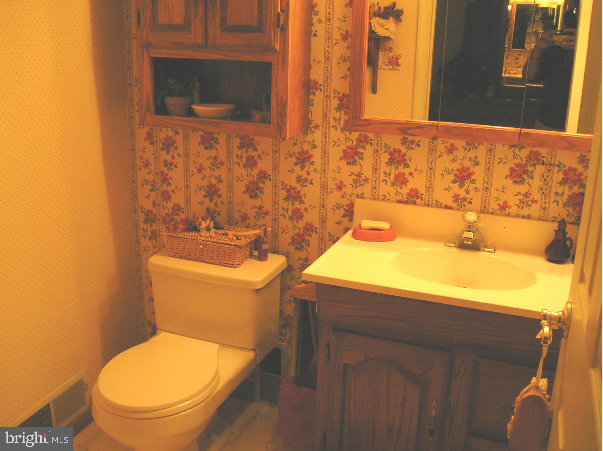 12016 Kemps Mill Road Williamsport, MD 21795 - Photo 24 of 28 Bath (Master)