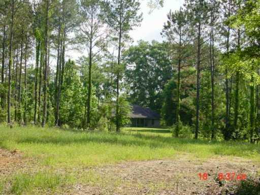 3087 Corman O'neal Road Gloster, MS 39638 - Photo 2 of 4