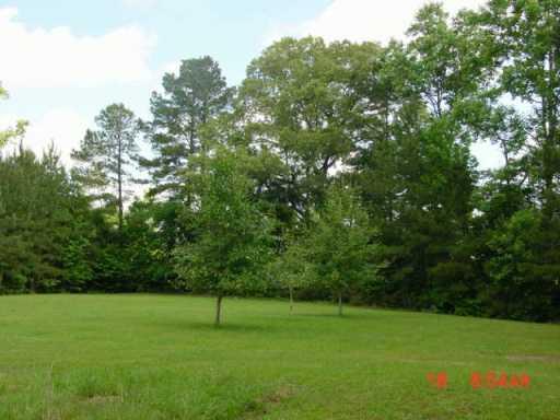 3087 Corman O'neal Road Gloster, MS 39638 - Photo 3 of 4