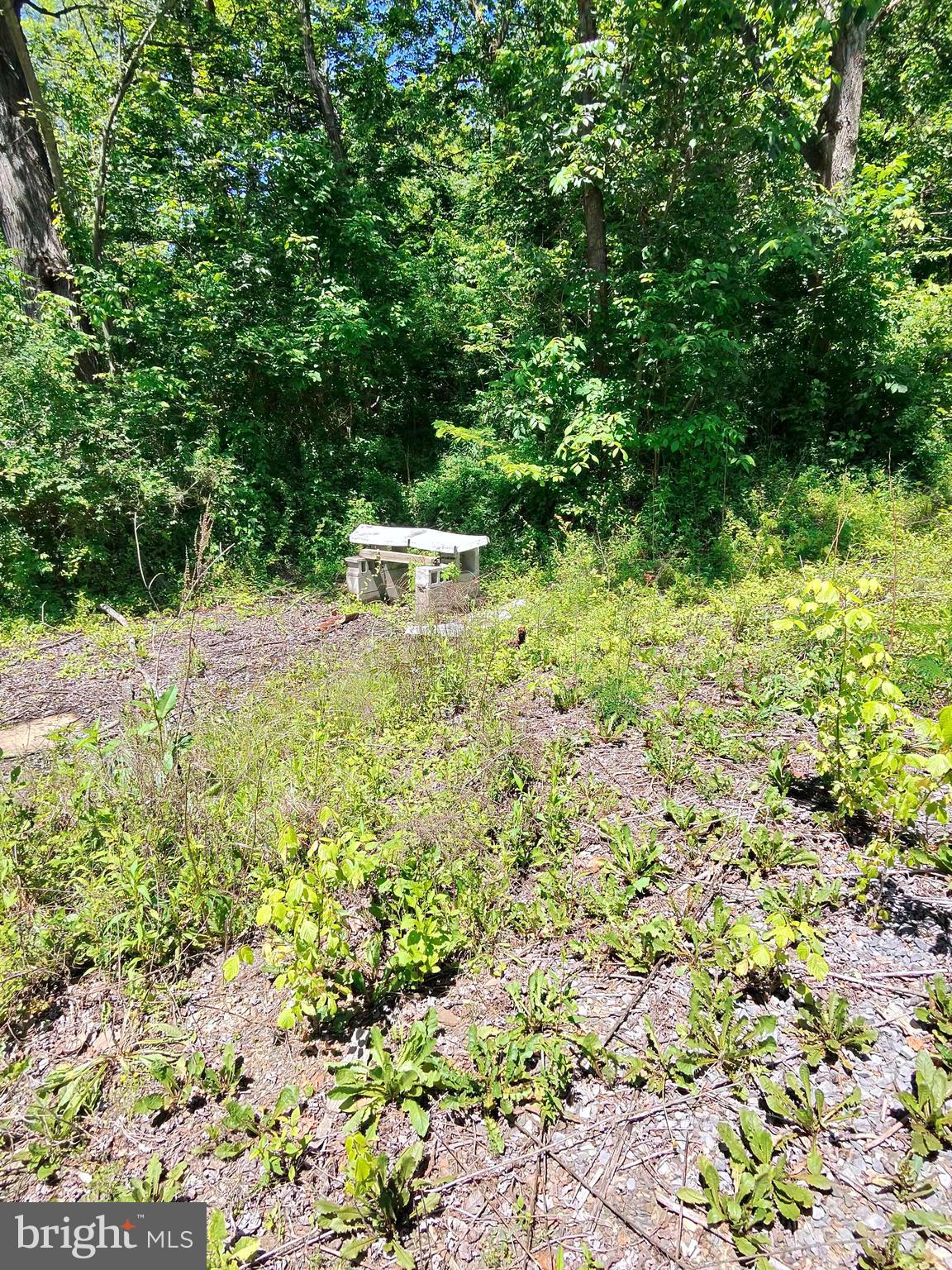 1461 Springfield Pike Springfield, WV 26763 - Photo 8 of 15
