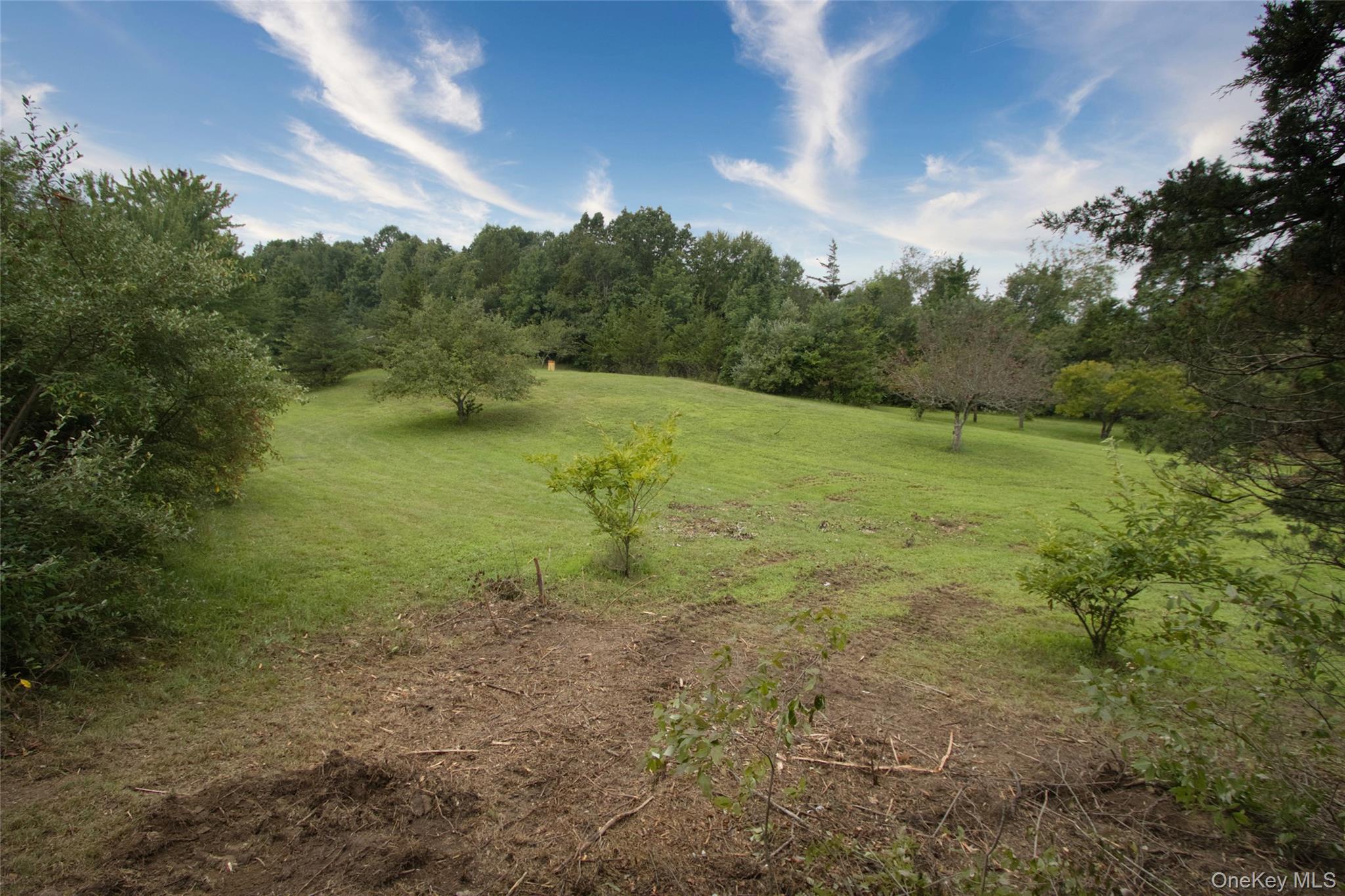 0 Church Hudson, NY 12534 - Photo 18 of 21 Lower grassy area