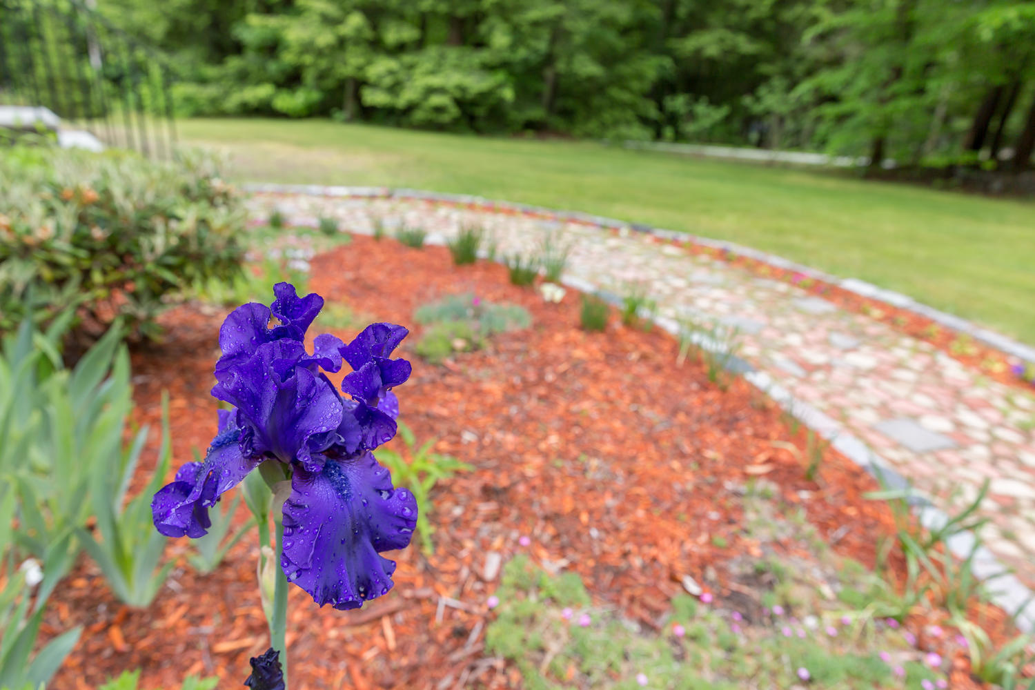300 Old Orchard Road Buxton, ME 04093 - Photo 38 of 39 Front Garden