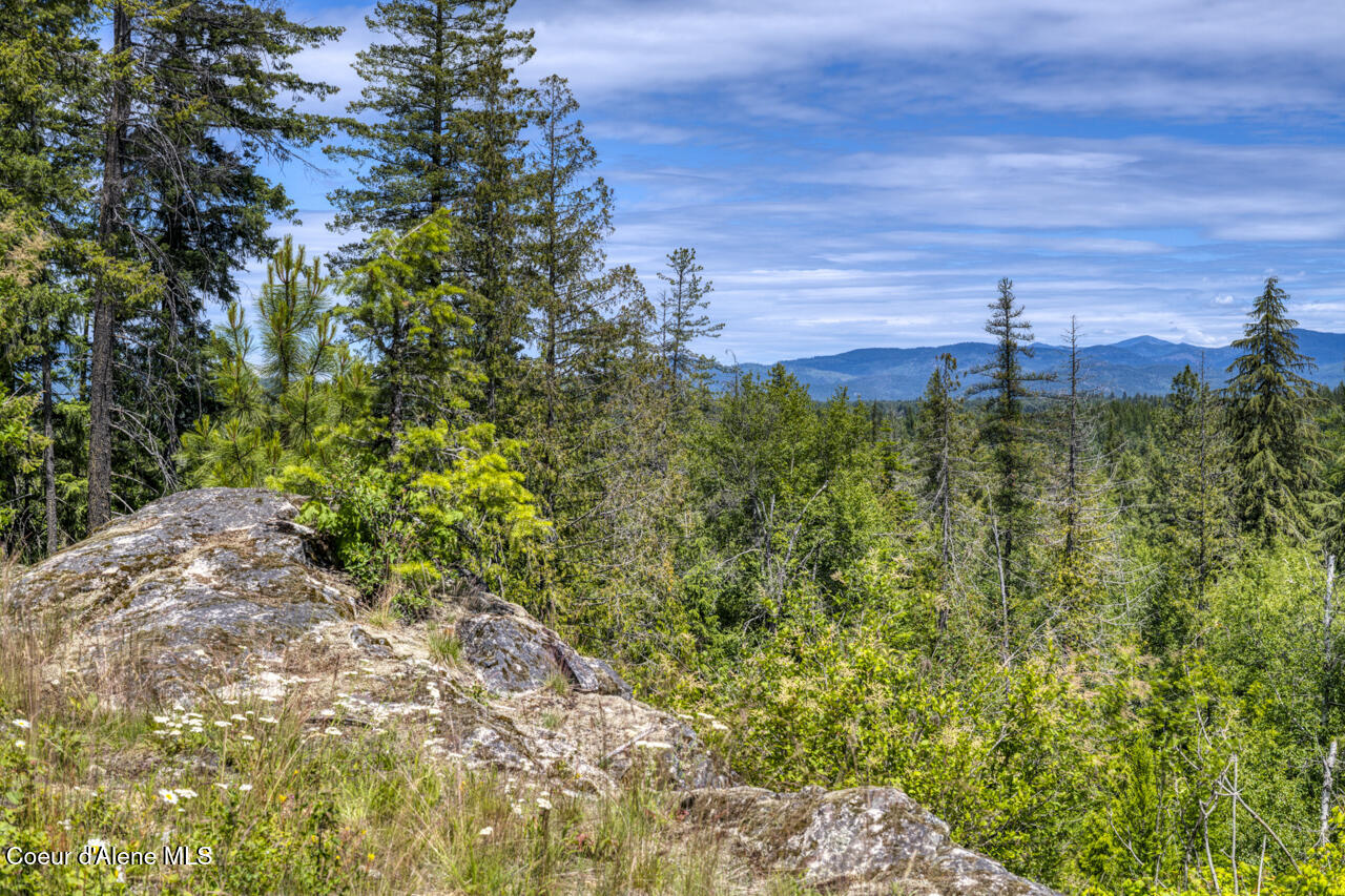 1356 Hidden Valley Road Sandpoint, ID 83864 - Photo 9 of 18 Gorgeous Views
