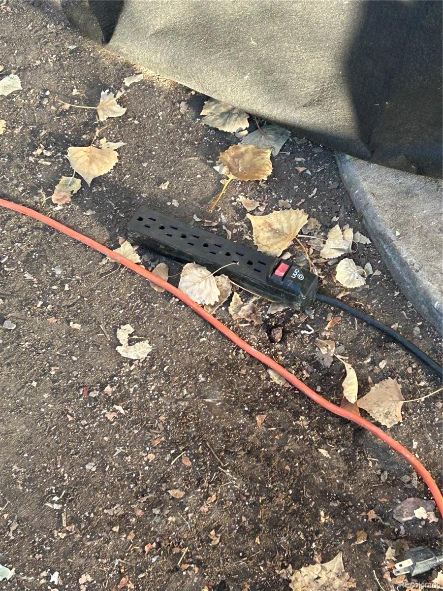 9111 Monroe Street Thornton, CO 80229 - Photo 12 of 39 a view of a tree with a yard