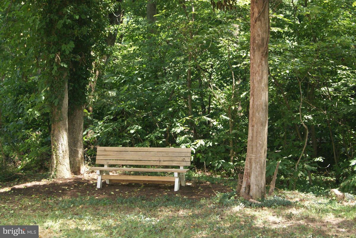 6098 Hill Road St. Leonard, MD 20685 - Photo 26 of 30 Back Yard
