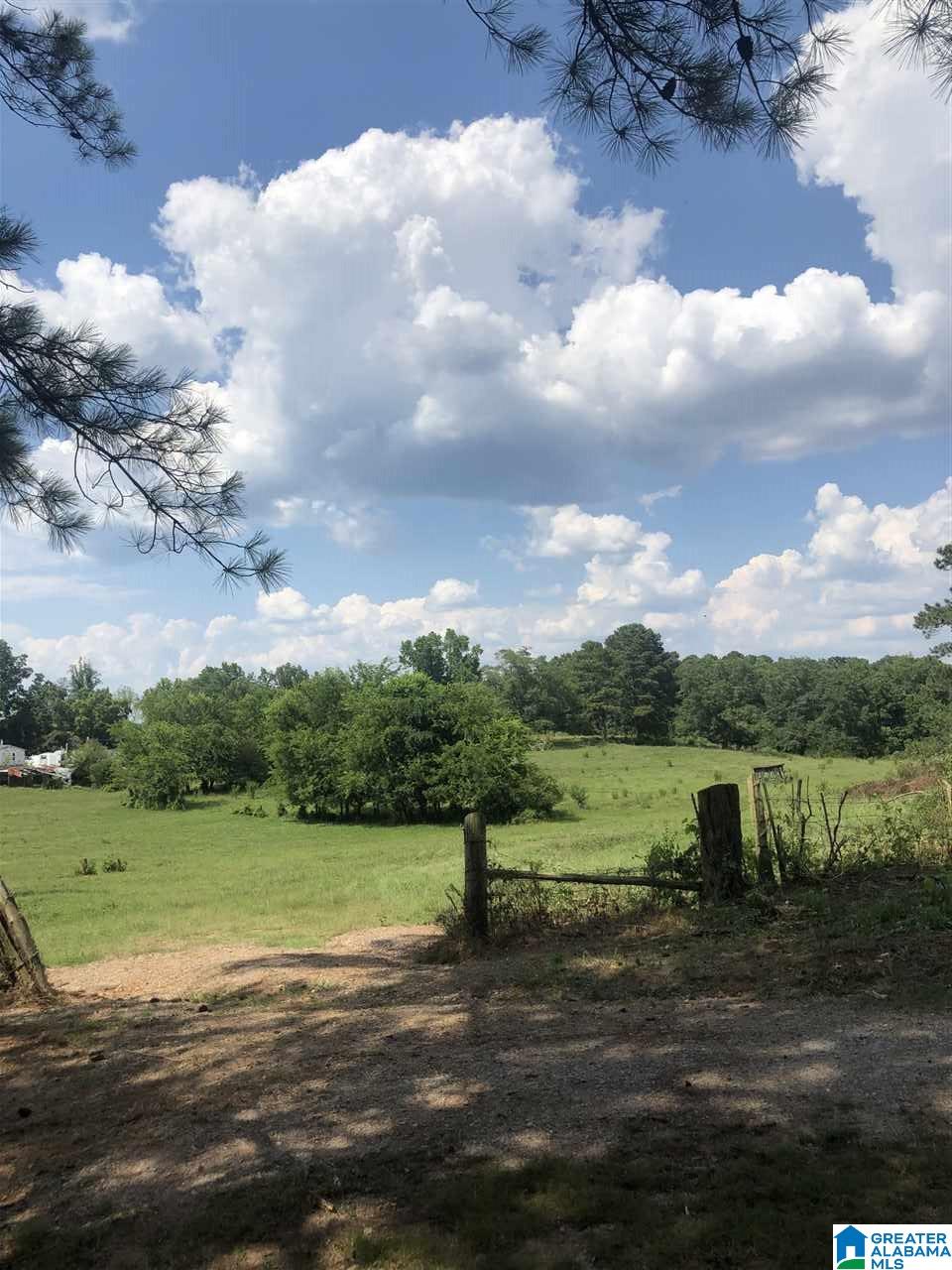 265 Bearden Street Montevallo, AL 35115 - Photo 2 of 14