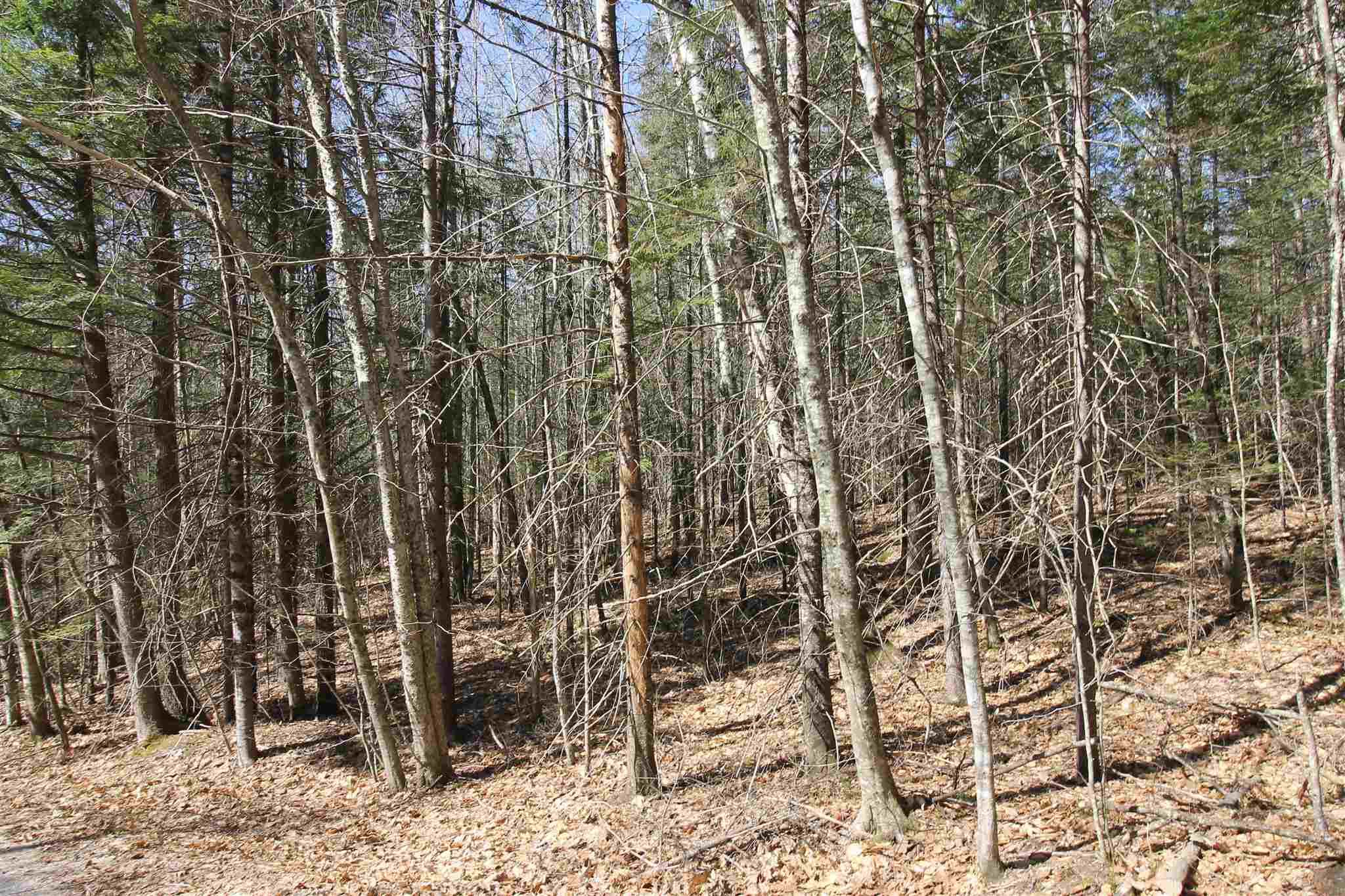 0 Tamarack Road Thornton, NH 03285 - Photo 22 of 23
