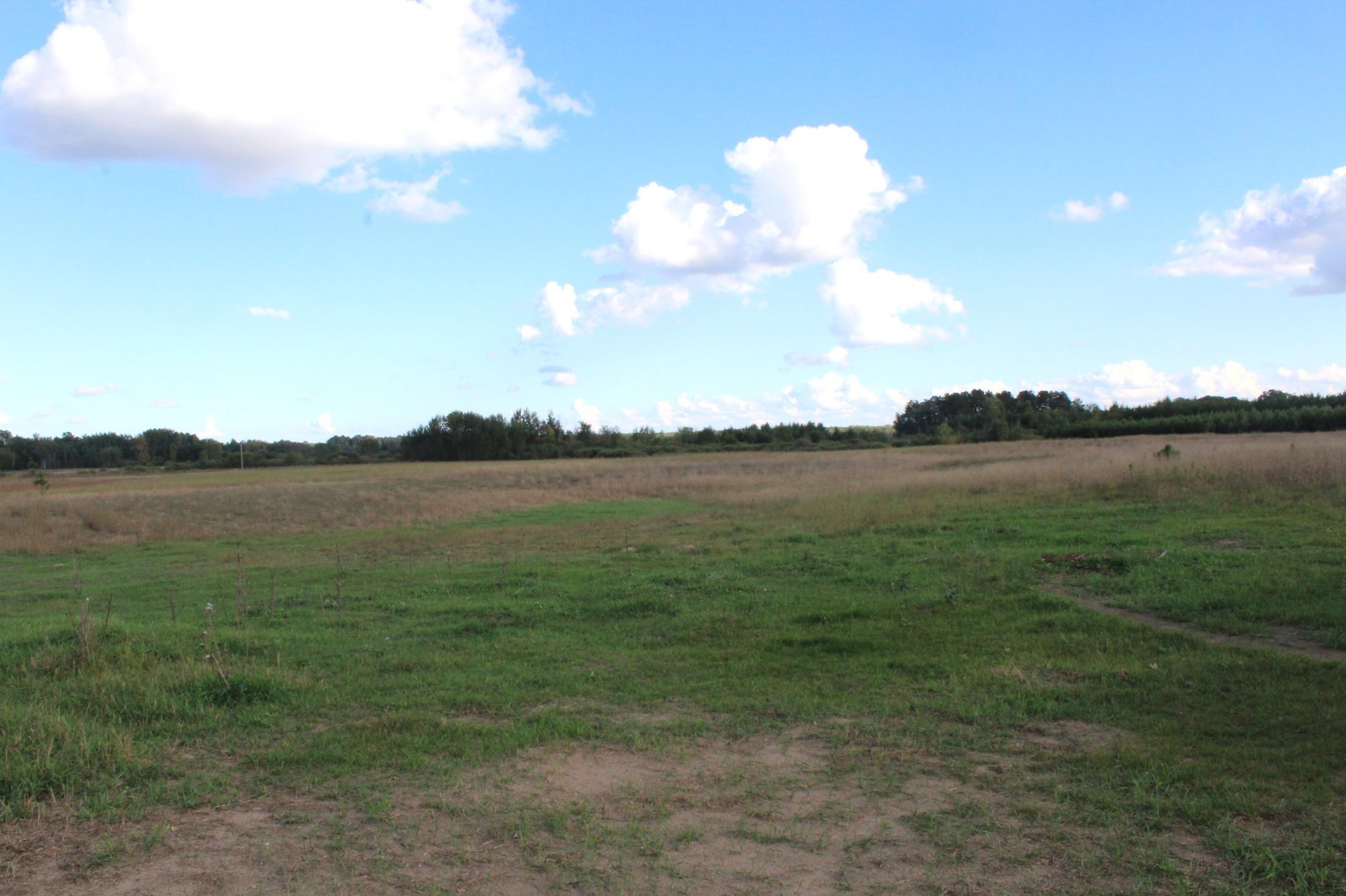 25871 164th Street Staples, MN 56479 - Photo 7 of 9