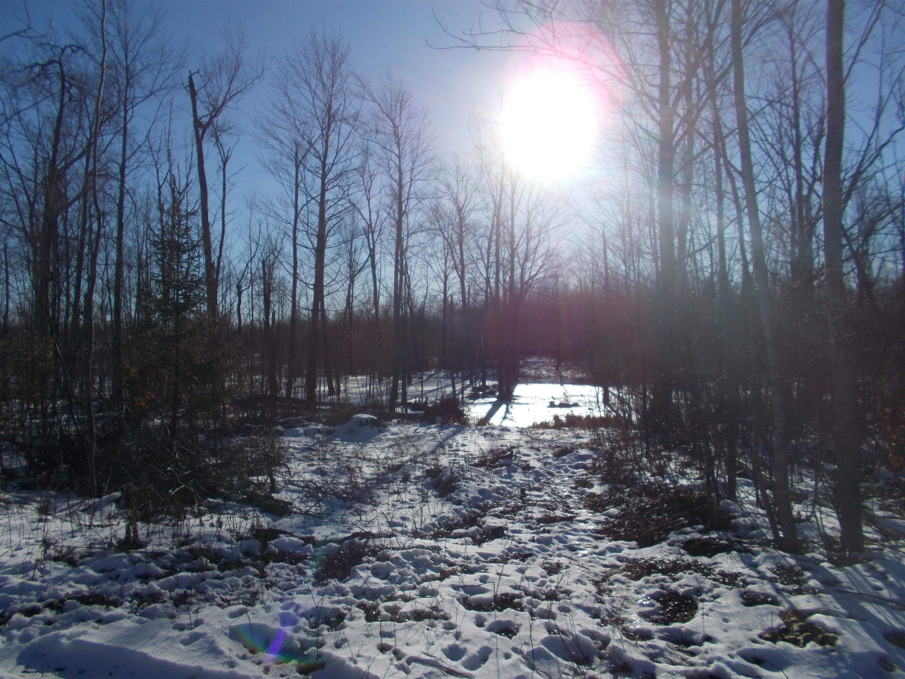 0 East County Line Road Whittemore, MI 48770 - Photo 1 of 22