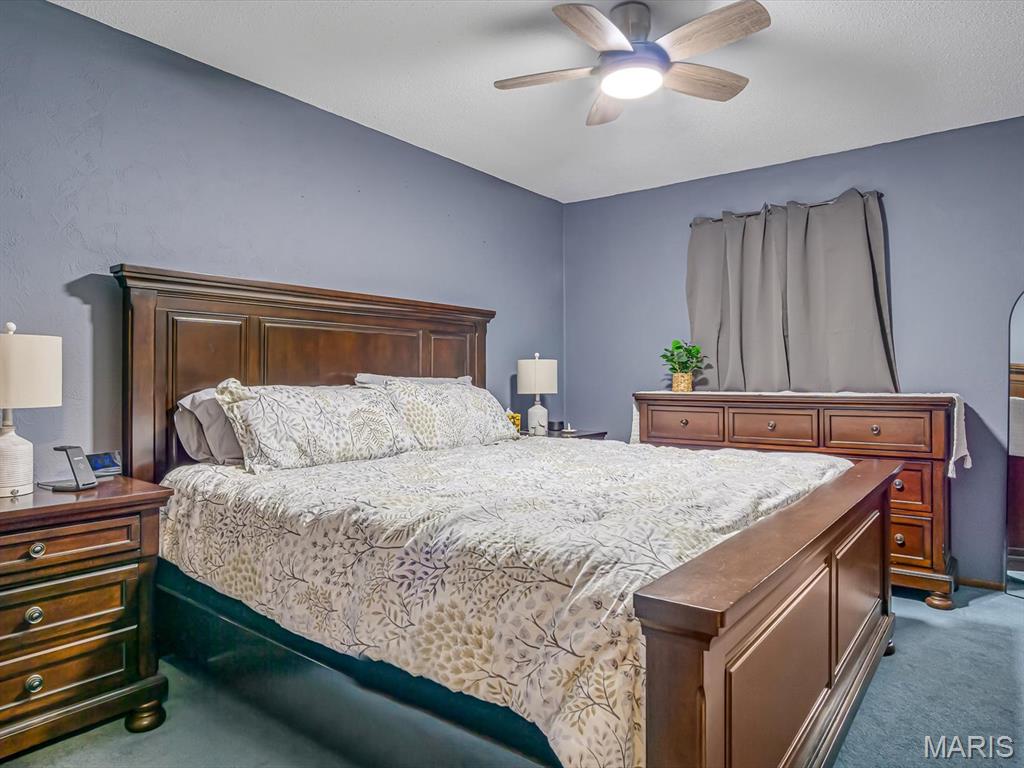 206 South Dewey Street Sparta, IL 62286 - Photo 15 of 21