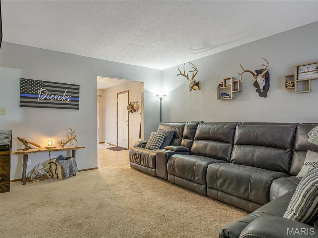 206 South Dewey Street Sparta, IL 62286 - Photo 5 of 21