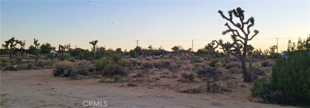 1234 Canton Street Yucca Valley, CA 92284 - Photo 12 of 27 a view of a dry space with mountain view