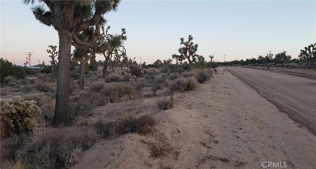 1234 Canton Street Yucca Valley, CA 92284 - Photo 18 of 27 a view of a dry yard with trees