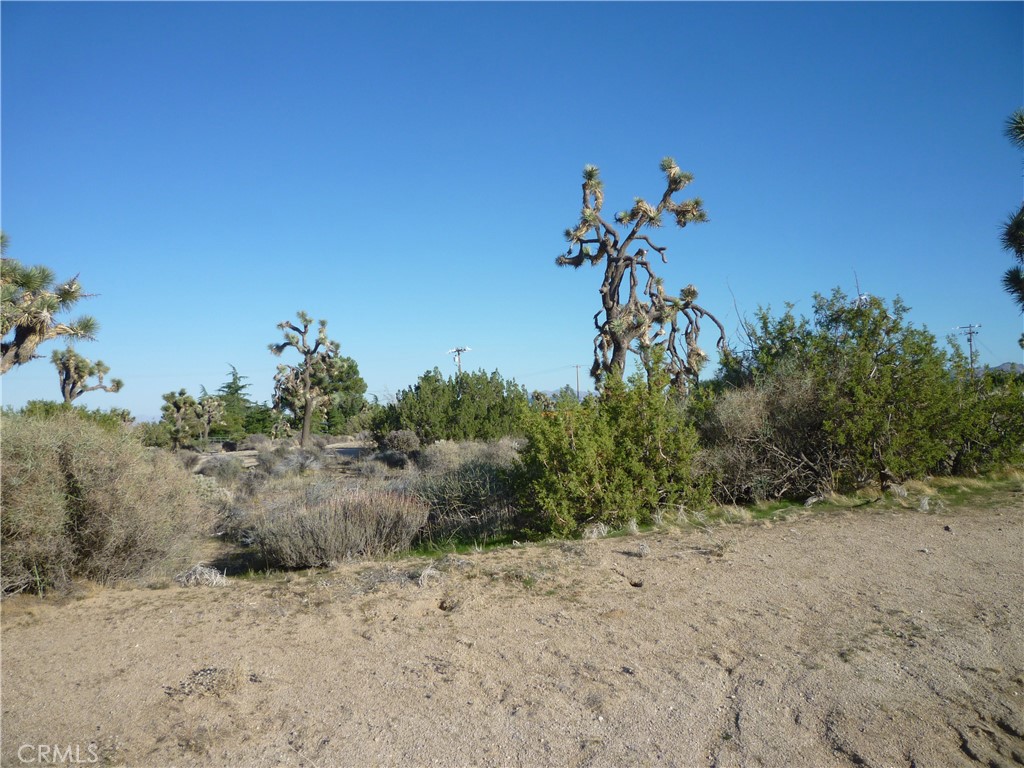 1234 Canton Street Yucca Valley, CA 92284 - Photo 24 of 27 a view of a yard