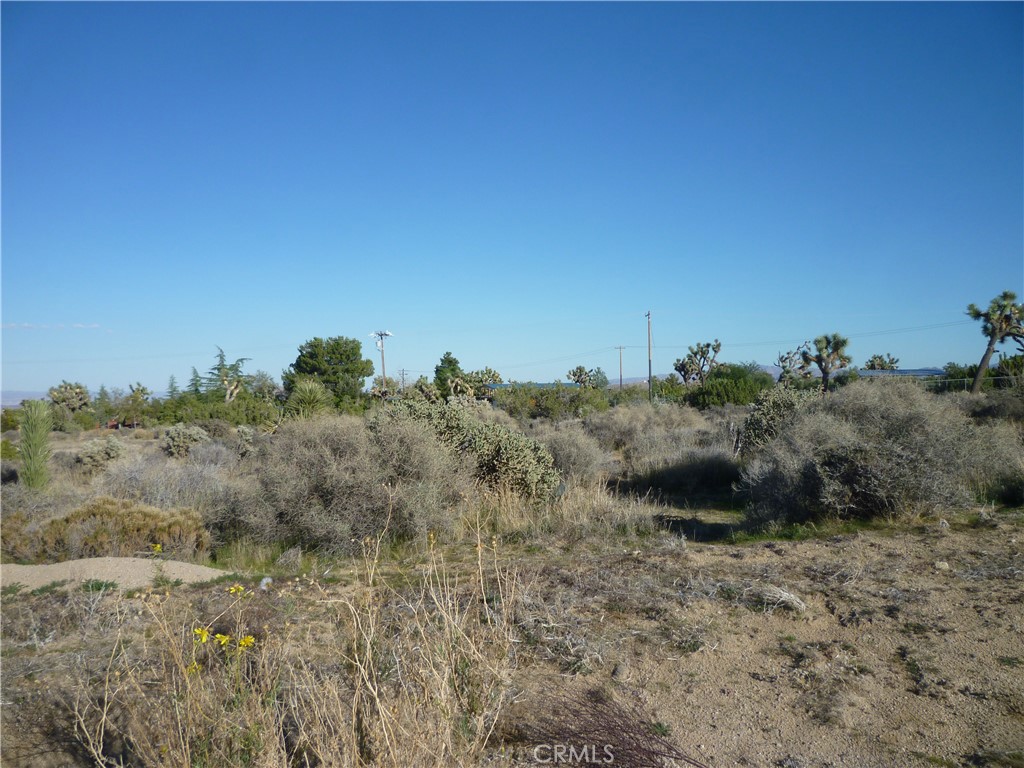 1234 Canton Street Yucca Valley, CA 92284 - Photo 25 of 27