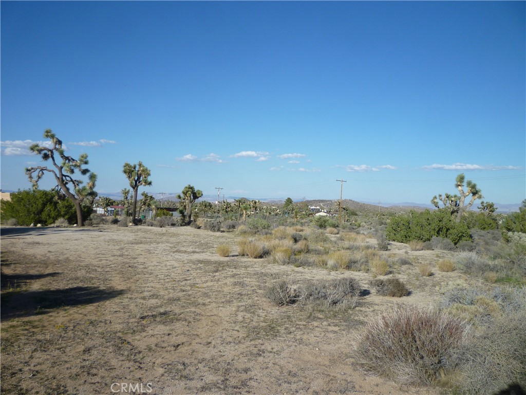1234 Canton Street Yucca Valley, CA 92284 - Photo 27 of 27 a view of a dry yard with trees