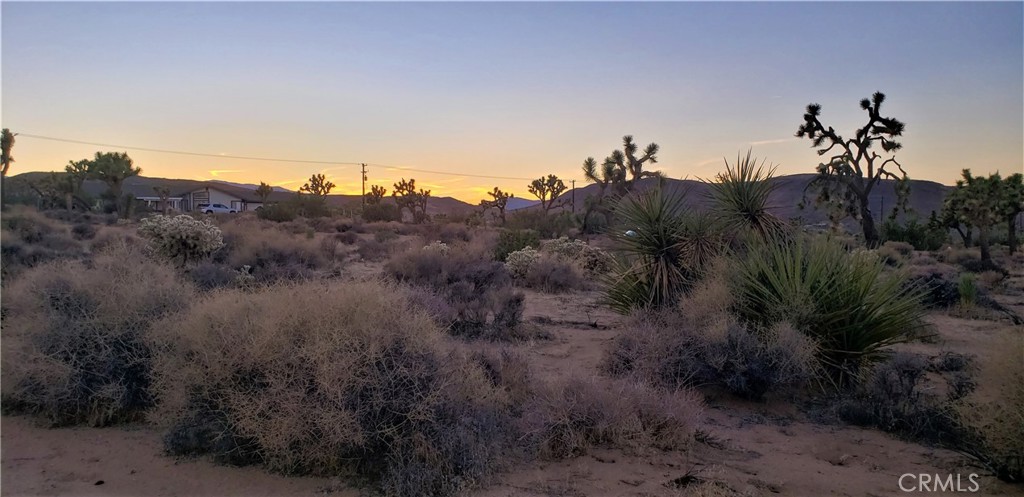 1234 Canton Street Yucca Valley, CA 92284 - Photo 4 of 27 a view of a sky