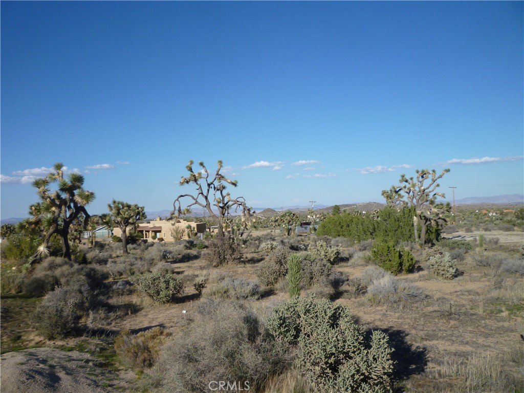 1234 Canton Street Yucca Valley, CA 92284 - Photo 6 of 27 a view of a beach